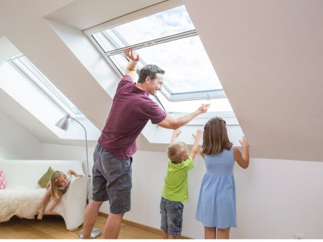 Insektenschutz Bonn Köln Insektenschutz Bonn Köln